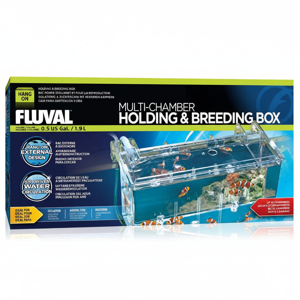Stress-Free Isolation and Healthy Fish Development using Fluval Breeding Box 1.9 Litres