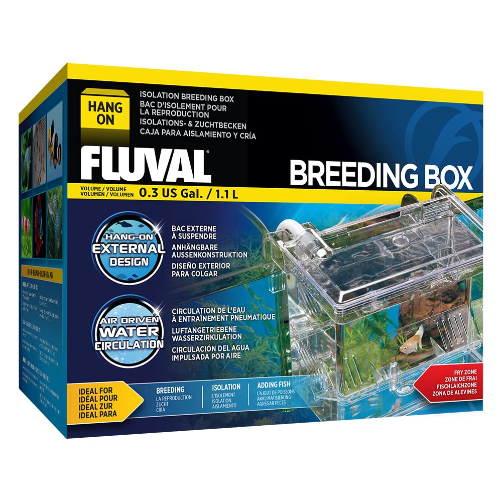 Stress-Free Isolation and Healthy Fish Development using Fluval Breeding Box 1.1 Litre