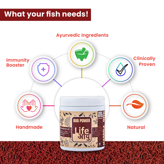 Life AAYUH Bug Power Fish Food | Insect-Based Micro Pellets for Freshwater & Marine Fish | High Protein Food for Growth, Color & Immunity