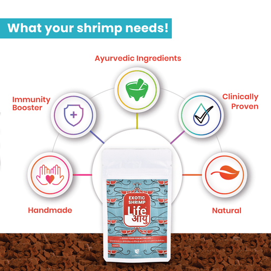Life AAYU Shrimp Exotic Food(15g) | Premium Caridina Shrimp Food for Crystal Red, Taiwan Bee & CBS | Supports Molting, Breeding, Immunity & Color