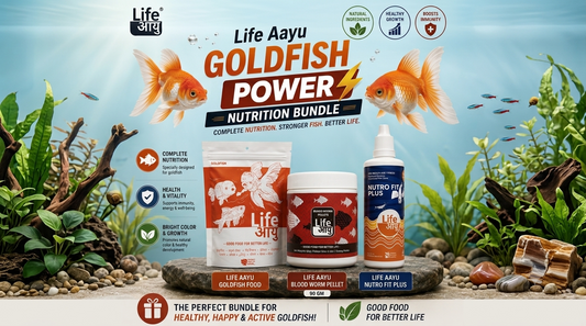 Life Aayu Goldfish Power Nutrition