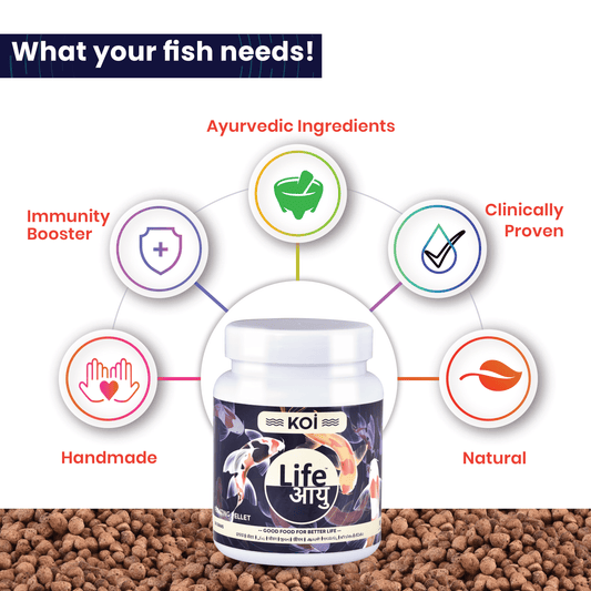Life AAYUH Koi Regular Fish Food | Micro Pellets for Koi Fish | Floating Koi Food for Growth, Color & Immunity