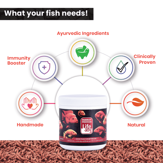 Life AAYUH Parrot Premium Fish Food | Micro Pellet Fish Food for Parrot Fish | High Protein Nutrition for Color, Growth & Immunity