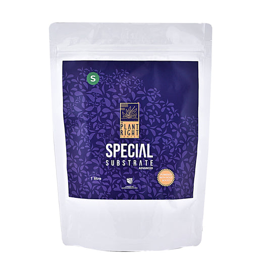 Plant Right Special Substrate – Nutrient-Rich Substrate for Aquarium Plants