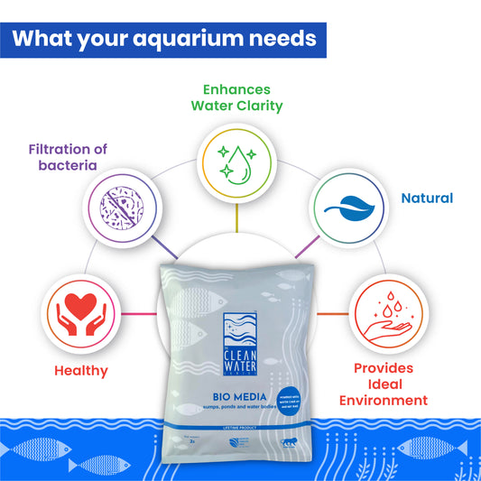 TCWS Sump Media 2L/1KG | High Porous Biological Filter Media for Sump Systems | Aquarium Bio Filtration Stone for Crystal Clear Water & Stable Nitrogen Cycle
