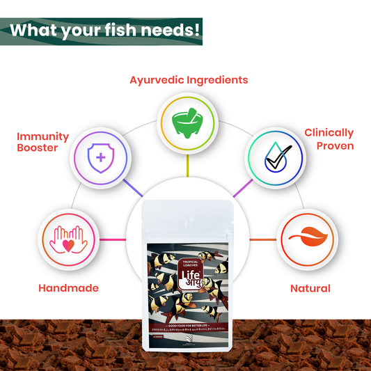 Life AAYUH Tropical Loaches Fish Food (15g) | High-Protein Sinking Micro Pellets for Loaches | With Bloodworms & Mealworms for Growth, Immunity & Digestion
