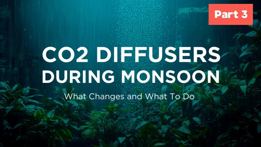 CO2 Diffuser Series – Part 3: Preparing Your CO2 System for the Monsoon