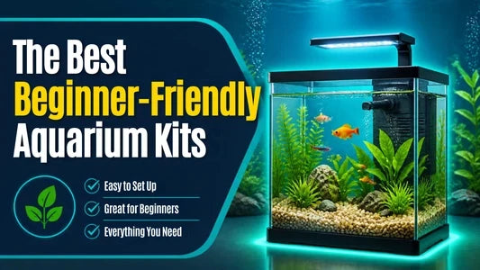 The Best Beginning-Friendly Aquarium Kits