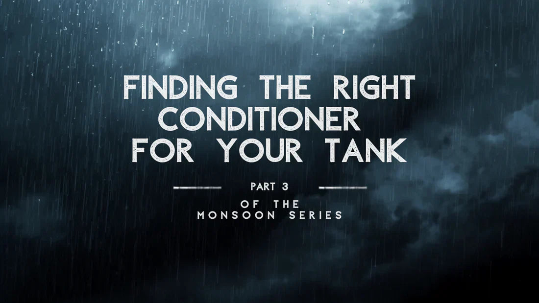 Finding the Right Conditioner for Your Tank - Part 3 of the Monsoon Series