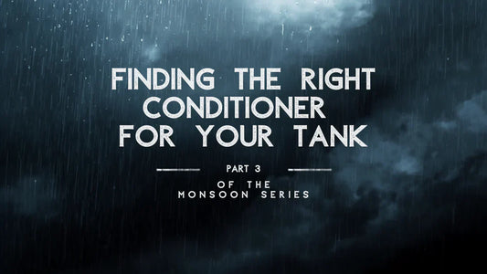 Finding the Right Conditioner for Your Tank - Part 3 of the Monsoon Series