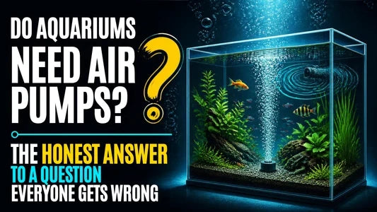 Do You Really Need an Air Pump for Your Aquarium?