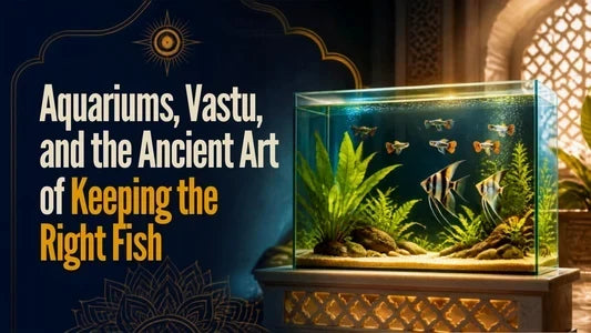 Aquariums, Vastu, and the Ancient Art of Keeping the Right Fish