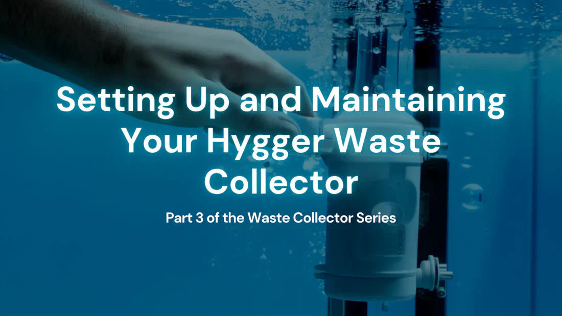 Setting Up and Maintaining Your Hygger Waste Collector - Part 3 of the Waste Collector Series
