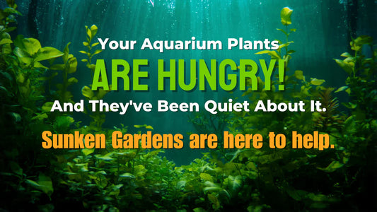 Your Aquarium Plants Are Hungry! And They've Been Quiet About It. - Sunken Garden Fertilizers are here to help.