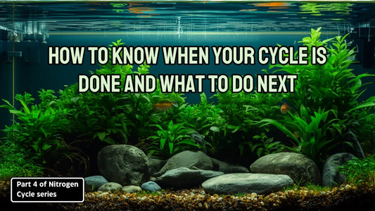 How to Know When Your Cycle Is Done And What to Do Next: Part 4 of the Nitrogen Cycle series