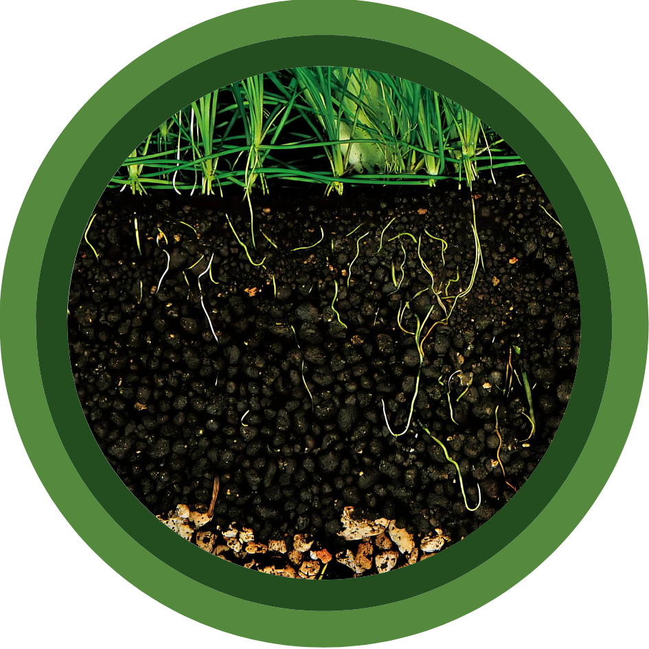 AQUARIUM SOIL AND SUBSTRATE