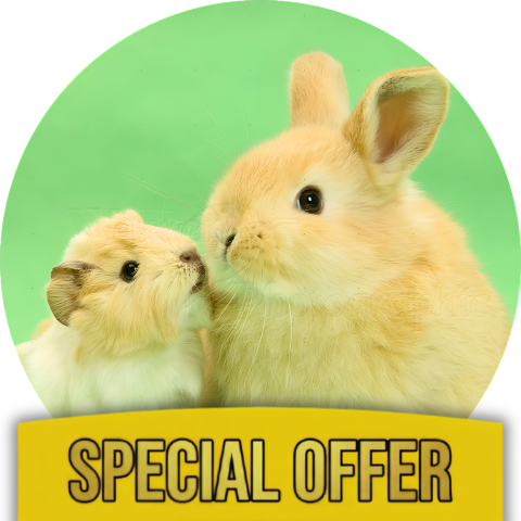 Rabbit & Guinea Pig Health Kit