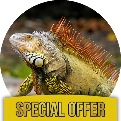 Iguana Hydration Care Kit