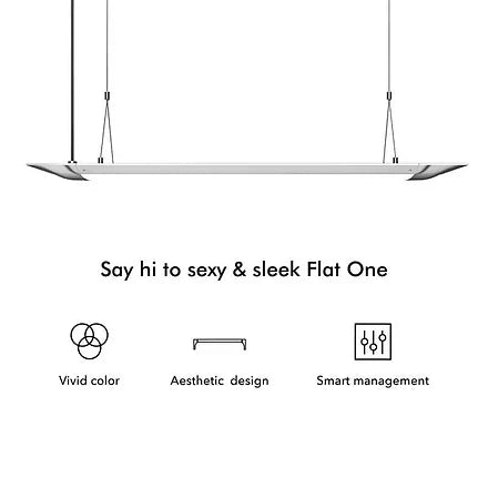 ONF Flat One+ 60cm (BW) - Pendant style