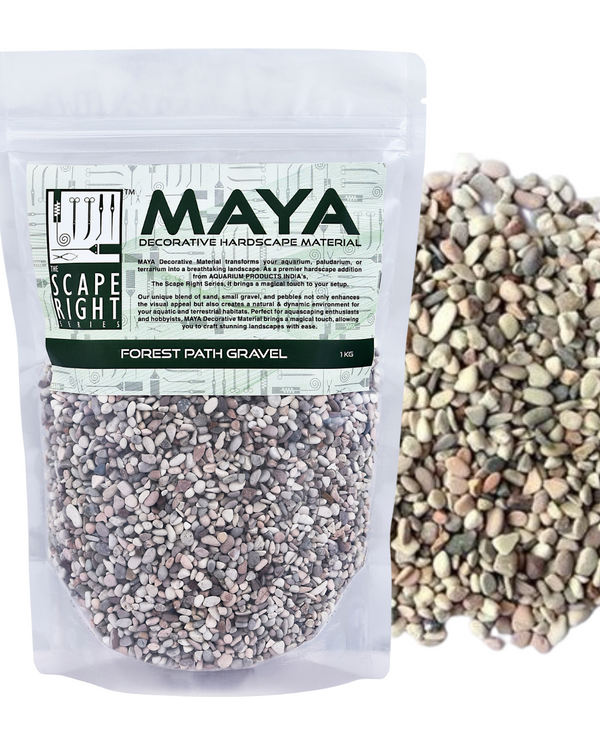 MAYA FOREST PATH GRAVEL-RAIN FOREST MEDIUM