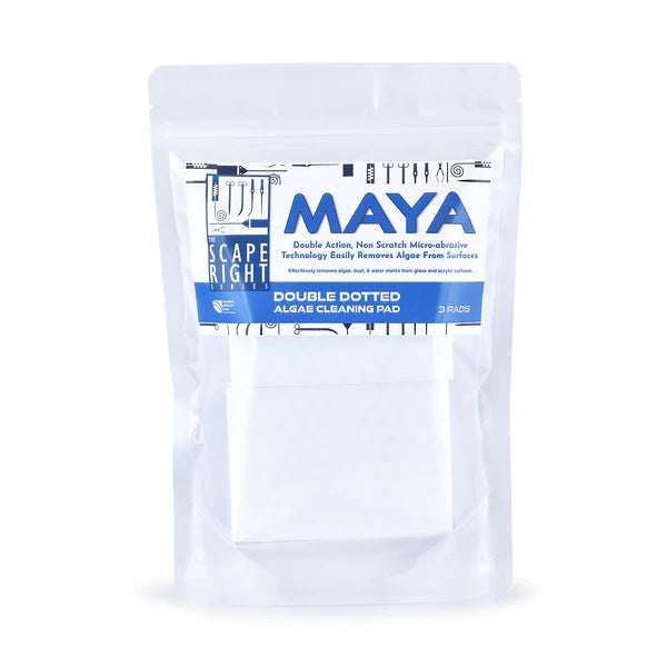 MAYA DOUBLE DOTTED ALGAE CLEANING PAD