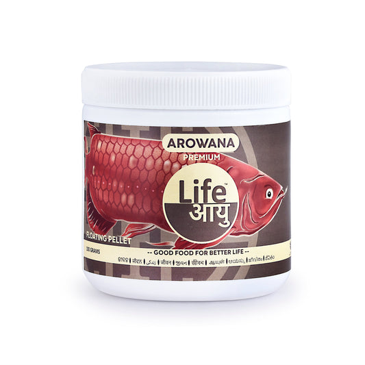 Life Aayu Arowana Premium Food – Handmade Ayurvedic Diet for Asian Arowanas | Color Boost, Muscle Growth & Immunity