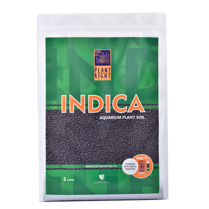 Indica Aqua Soil