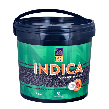 Indica Aqua Soil