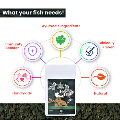 Life Aayu Algae Wafer Fish Food - 15g