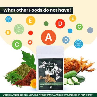 Life Aayu Algae Wafer Fish Food - 15g