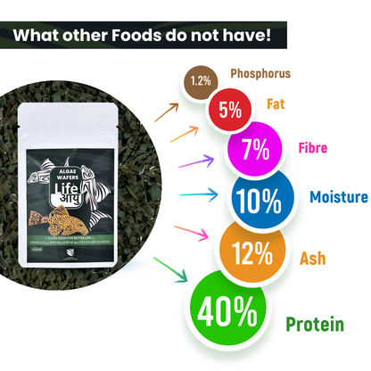 Life Aayu Algae Wafer Fish Food - 15g