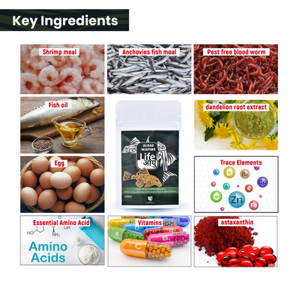 Life Aayu Algae Wafer Fish Food - 15g