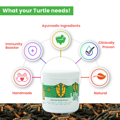 Spirulina & Calcium Enriched Turtle Food for Shell Strength, Immunity and Healthy Digestion