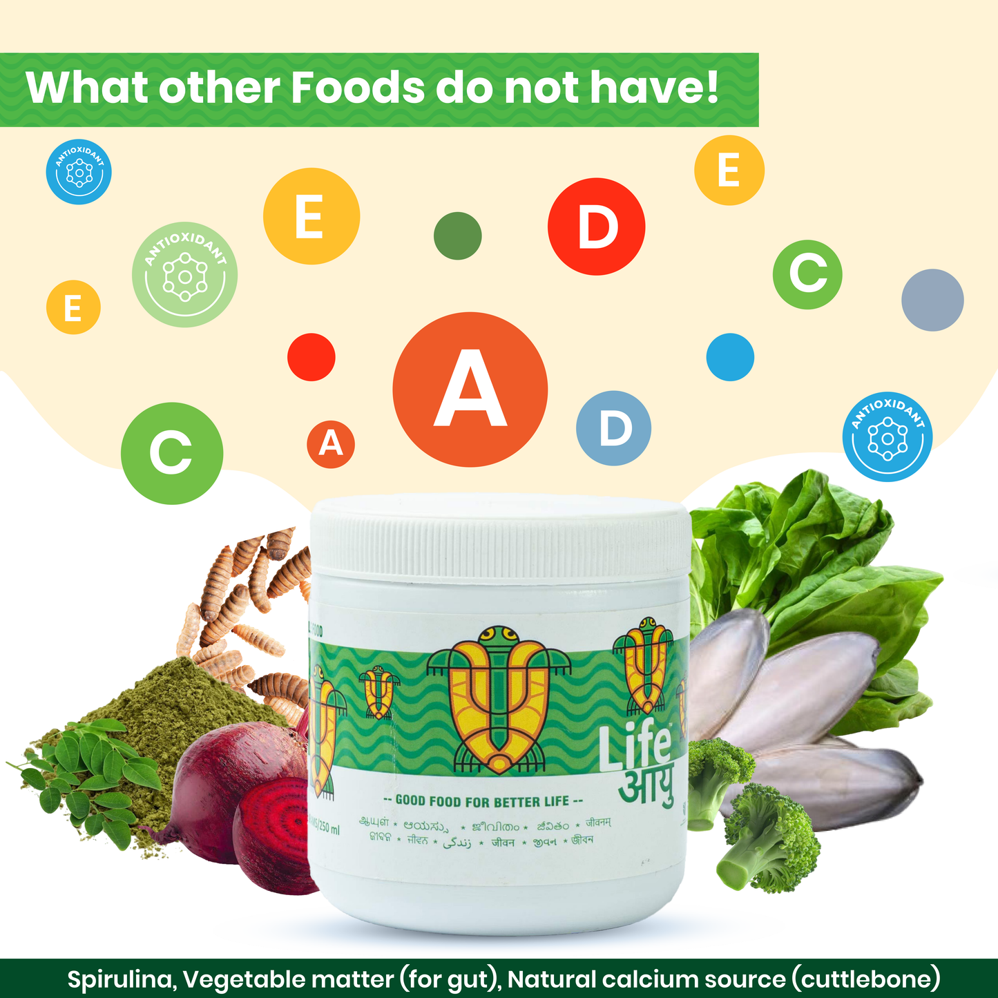 Spirulina & Calcium Enriched Turtle Food for Shell Strength, Immunity and Healthy Digestion