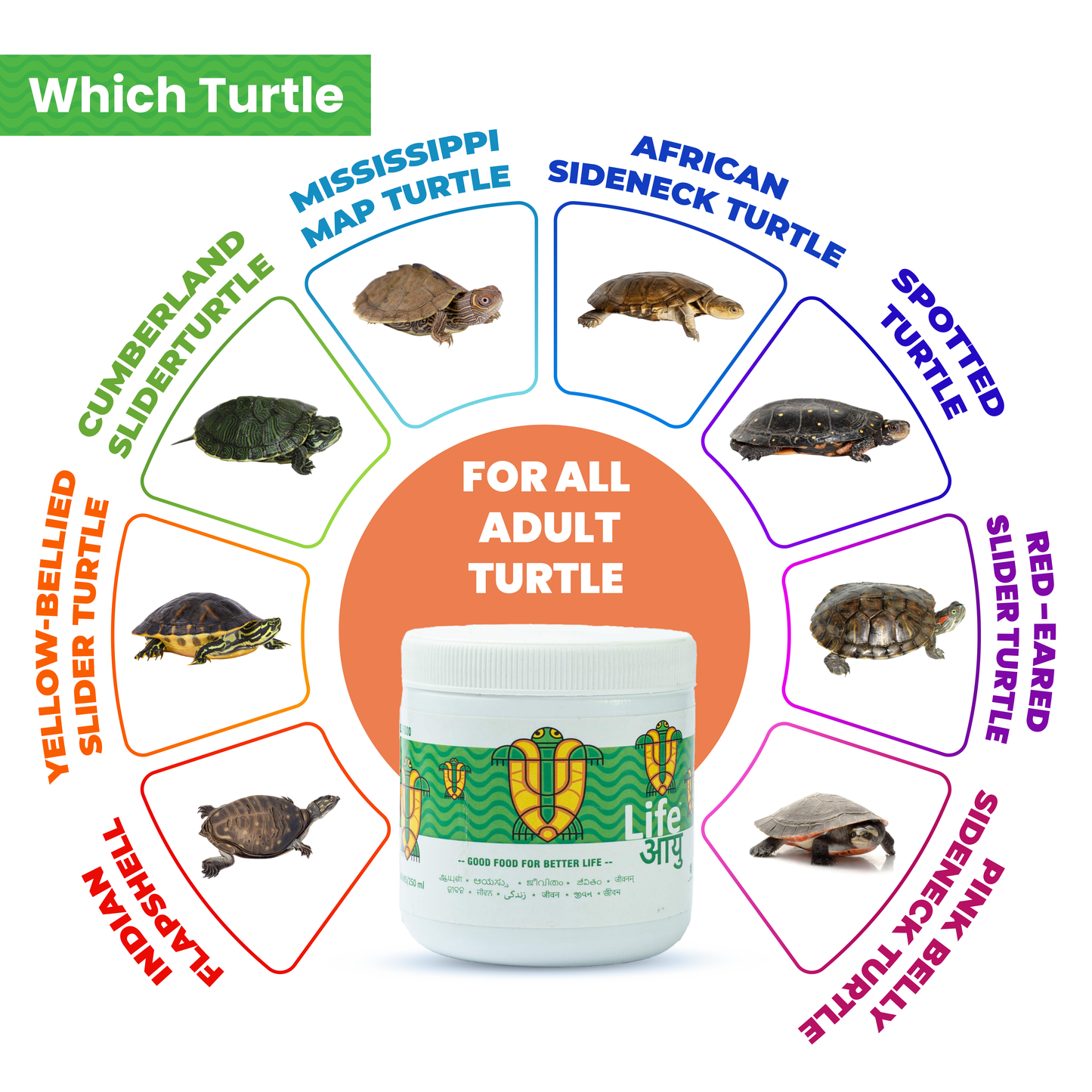 Spirulina & Calcium Enriched Turtle Food for Shell Strength, Immunity and Healthy Digestion