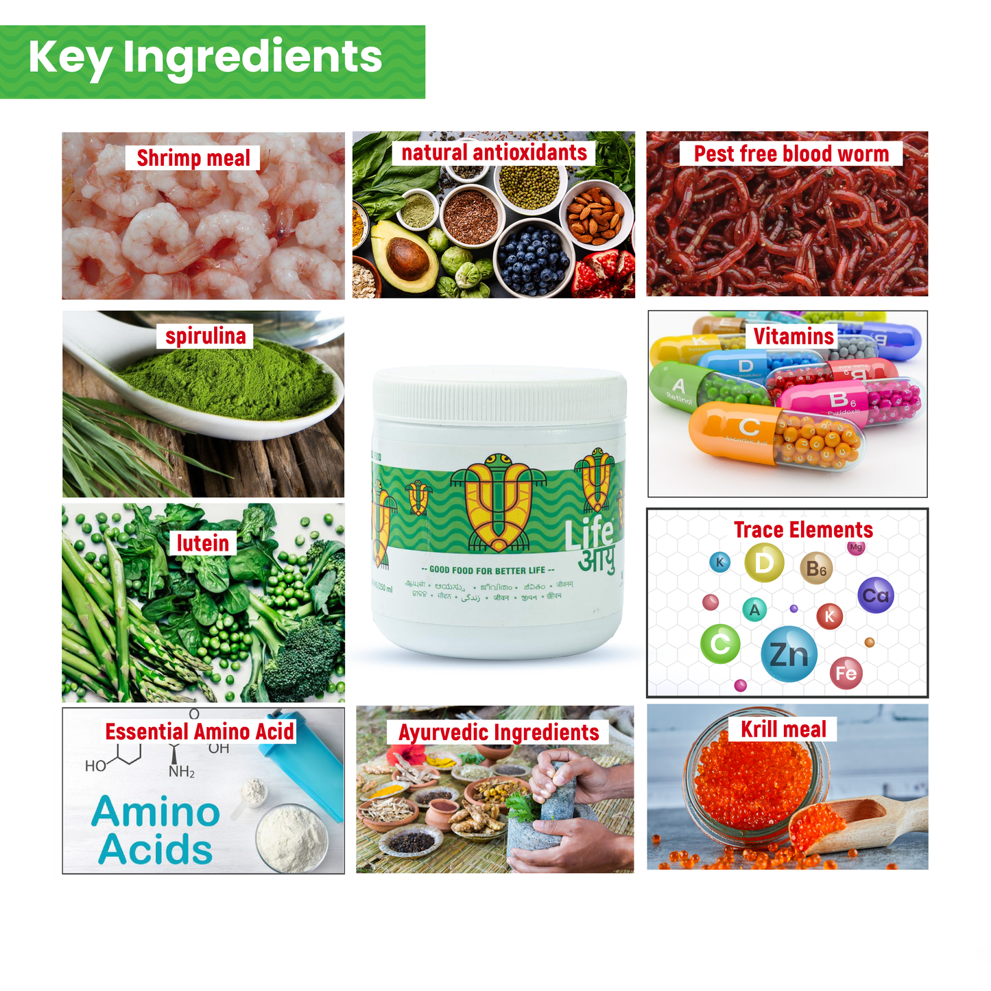 Spirulina & Calcium Enriched Turtle Food for Shell Strength, Immunity and Healthy Digestion