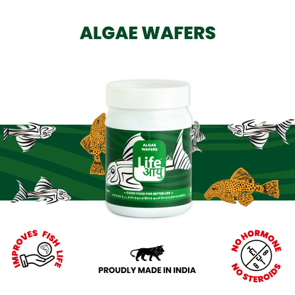 Life Aayu Algae Wafer Fish Food 45g