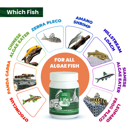 Life Aayu Algae Wafer Fish Food 45g