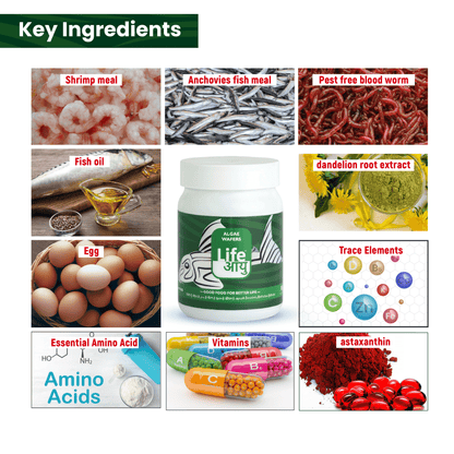 Life Aayu Algae Wafer Fish Food 45g