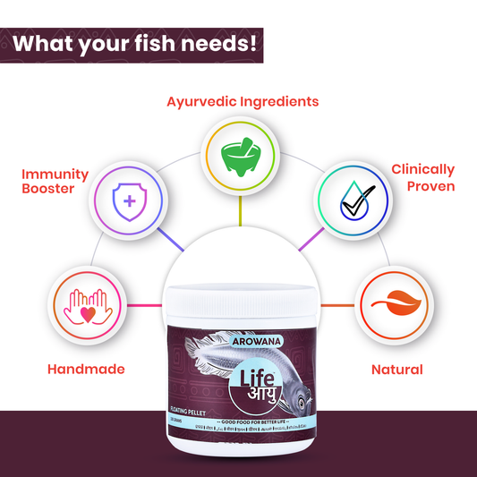 Life AAYUH Silver Arowana Fish Food | High-Protein Micro Pellets for Silver Arowana | Supports Growth, Body Development & Immunity