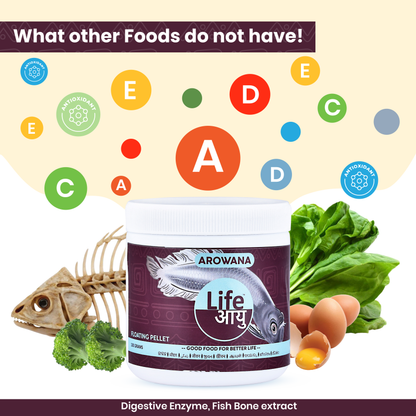 Life Aayu Silver Arowana Food