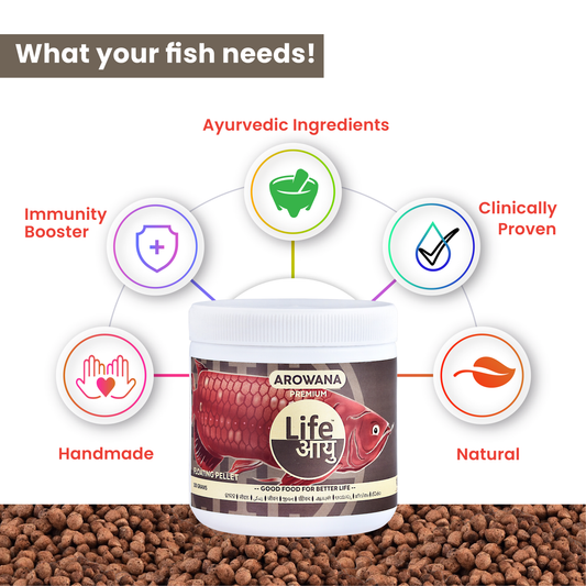 Life AAYUH Arowana Premium Fish Food | High-Protein Micro Pellets for Asian Arowana | Supports Color, Growth & Immunity