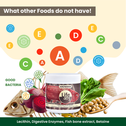 Life Aayu Arowana Premium Food – Handmade Ayurvedic Diet for Asian Arowanas | Color Boost, Muscle Growth & Immunity