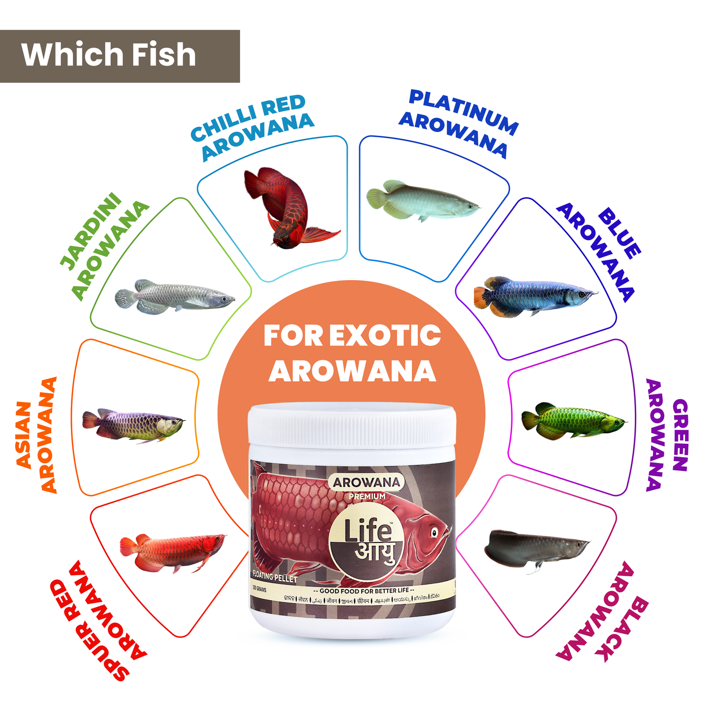 Life Aayu Arowana Premium Food – Handmade Ayurvedic Diet for Asian Arowanas | Color Boost, Muscle Growth & Immunity