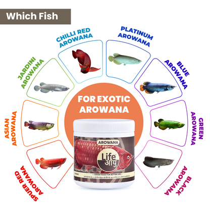 Life Aayu Arowana Premium Food – Handmade Ayurvedic Diet for Asian Arowanas | Color Boost, Muscle Growth & Immunity