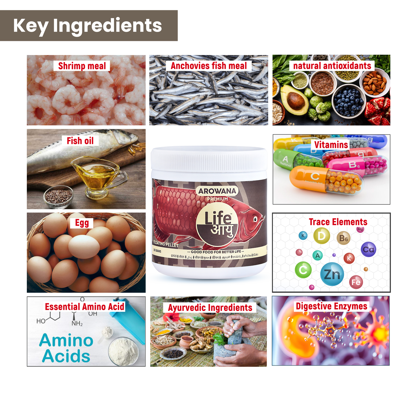 Life Aayu Arowana Premium Food – Handmade Ayurvedic Diet for Asian Arowanas | Color Boost, Muscle Growth & Immunity