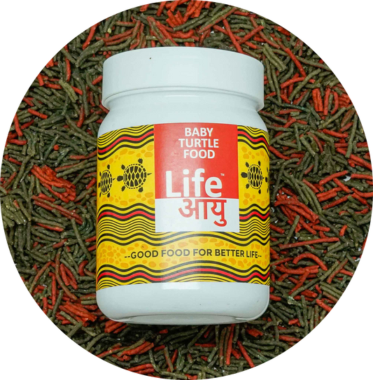 Life Aayu Baby Turtle Feed 70g.
