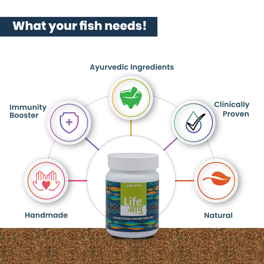 Life AAYUH Baby Bites(30g) | Fry Fish Food for Baby Fish Growth & Survival | High-Protein Micro Pellet Food for Guppy, Betta & Tetra Fry