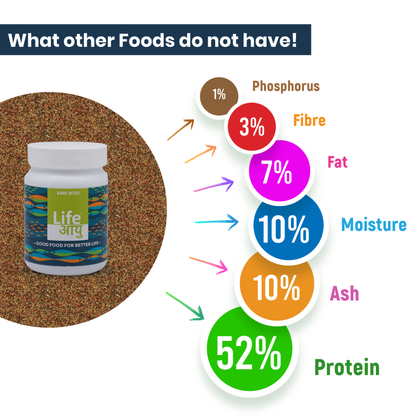 Life AAYU Baby Bites – Superfood for Fry & Baby Fish Growth 30g