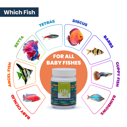 Life AAYU Baby Bites – Superfood for Fry & Baby Fish Growth 30g